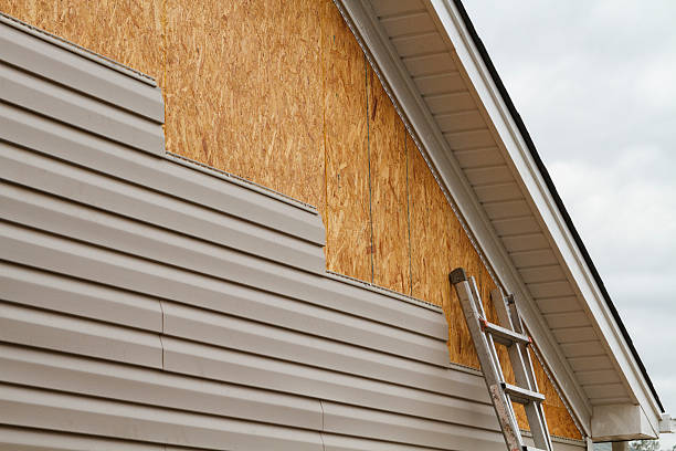 Professional Wood Siding technician working in River Forest, IL
